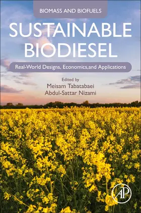 Tabatabaei / Nizami | Sustainable Biodiesel | Buch | 978-0-12-820361-3 | sack.de