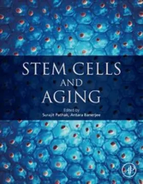 Pathak / Banerjee |  Stem Cells and Aging | eBook | Sack Fachmedien