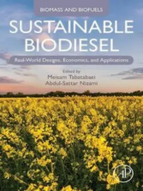 Tabatabaei / Nizami | Sustainable Biodiesel | E-Book | www.sack.de