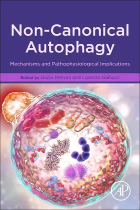 Petroni / Galluzzi |  Non-Canonical Autophagy | Buch |  Sack Fachmedien