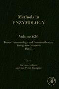 Galluzzi / Rudqvist |  Tumor Immunology and Immunotherapy - Integrated Methods Part B | eBook | Sack Fachmedien