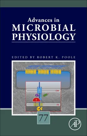 Poole | Advances in Microbial Physiology Volume 77 | Buch | 978-0-12-820748-2 | sack.de
