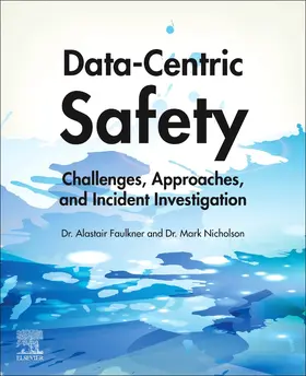 Faulkner / Nicholson |  Data-Centric Safety | Buch |  Sack Fachmedien