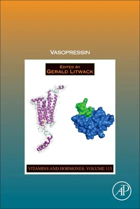 Litwack | Vasopressin | Buch | 978-0-12-820816-8 | www.sack.de