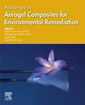 Khan / Ansari / Asiri | Advances in Aerogel Composites for Environmental Remediation | E-Book | sack.de
