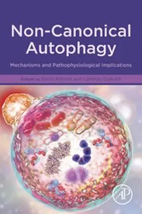 Petroni / Galluzzi |  Non-Canonical Autophagy | eBook | Sack Fachmedien