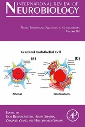 Bryukhovetskiy / Sharma / Zhang | Novel Therapeutic Advances in Glioblastoma | E-Book | sack.de