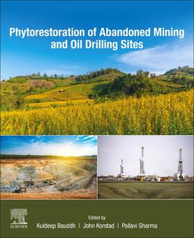 Korstad / Sharma | Phytorestoration of Abandoned Mining and Oil Drilling Sites | Buch | 978-0-12-821200-4 | sack.de