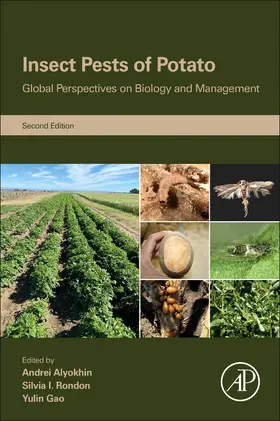 Alyokhin / Rondon / Gao | Insect Pests of Potato | Buch | 978-0-12-821237-0 | sack.de