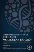 Galluzzi / Thomas |  Actin Cytoskeleton in Cancer Progression and Metastasis - Part A | eBook | Sack Fachmedien