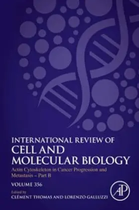 Galluzzi | Actin Cytoskeleton in Cancer Progression and Metastasis - Part B | E-Book | www.sack.de