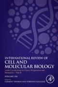 Galluzzi / Thomas |  Actin Cytoskeleton in Cancer Progression and Metastasis - Part B | eBook | Sack Fachmedien