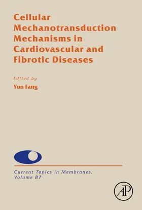Cellular Mechanotransduction Mechanisms in Cardiovascular and Fibrotic Diseases | Buch | 978-0-12-821519-7 | www.sack.de