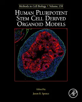  Human Pluripotent Stem Cell Derived Organoid Models | Buch |  Sack Fachmedien