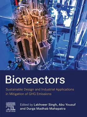 Singh / Yousuf / Mahapatra | Bioreactors | E-Book | www.sack.de