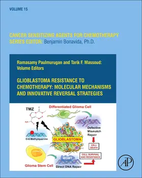 Paulmurugan / Massoud |  Glioblastoma Resistance to Chemotherapy: Molecular Mechanisms and Innovative Reversal Strategies | Buch |  Sack Fachmedien