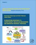 Paulmurugan / Massoud |  Glioblastoma Resistance to Chemotherapy: Molecular Mechanisms and Innovative Reversal Strategies | Buch |  Sack Fachmedien