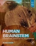 Paxinos / Furlong / Watson |  Human Brainstem | Buch |  Sack Fachmedien