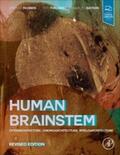 Paxinos / Furlong / Watson |  Human Brainstem | eBook | Sack Fachmedien