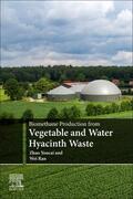 Youcai / Ran |  Biomethane Production from Vegetable and Water Hyacinth Waste | Buch |  Sack Fachmedien