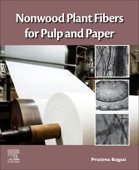 Bajpai | Nonwood Plant Fibers for Pulp and Paper | Buch | 978-0-12-821800-6 | sack.de