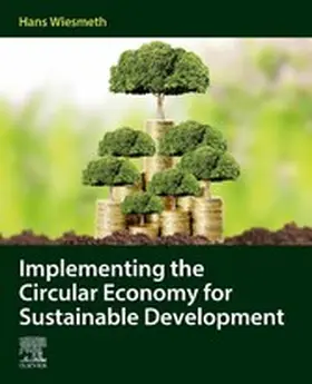 Wiesmeth | Implementing the Circular Economy for Sustainable Development | E-Book | www.sack.de