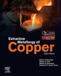 Alvear Flores / Schlesinger / Sole |  Extractive Metallurgy of Copper | Buch |  Sack Fachmedien