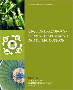Pandey / Tyagi / Varjani | Biomass, Biofuels, Biochemicals | Buch | 978-0-12-821878-5 | sack.de