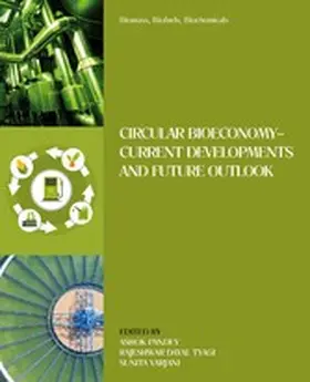 Pandey / Tyagi / Varjani | Biomass, Biofuels, Biochemicals | E-Book | sack.de
