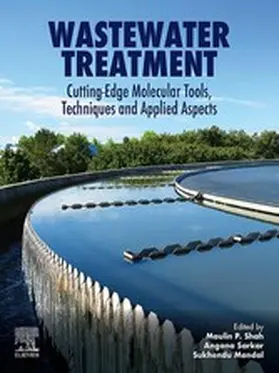 Shah / Sarkar / Mandal | Wastewater Treatment | E-Book | www.sack.de