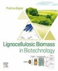 Bajpai |  Lignocellulosic Biomass in Biotechnology | eBook | Sack Fachmedien