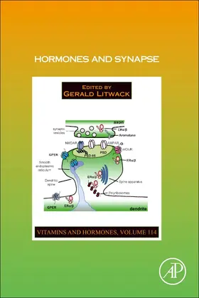 Litwack | Hormones and Synapse | Buch | 978-0-12-822025-2 | sack.de