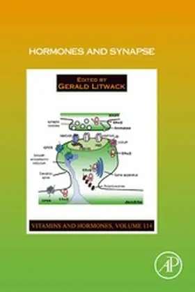 Litwack | Hormones and Synapse | E-Book | sack.de