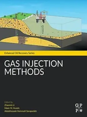 Li / Husein / Hemmati-Sarapardeh | Gas Injection Methods | E-Book | sack.de