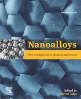 Calvo | Nanoalloys | E-Book | www.sack.de