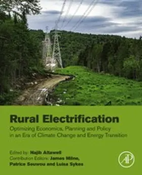 Altawell / Milne / Seuwou | Rural Electrification | E-Book | sack.de