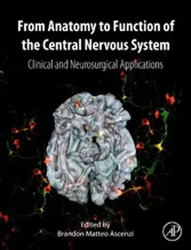 Ascenzi | From Anatomy to Function of the Central Nervous System | E-Book | www.sack.de