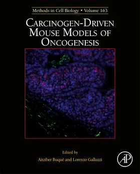 Carcinogen-Driven Mouse Models of Oncogenesis | Buch | 978-0-12-822534-9 | www.sack.de