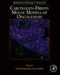 Galluzzi / Buque |  Carcinogen-Driven Mouse Models of Oncogenesis | eBook | Sack Fachmedien