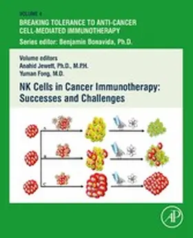 Jewett / Fong MD / Fong |  NK Cells in Cancer Immunotherapy: Successes and Challenges | eBook | Sack Fachmedien