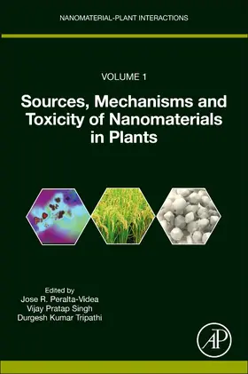 Peralta-Videa / Singh / Pandey |  Sources, Mechanisms and Toxicity of Nanomaterials in Plants | Buch |  Sack Fachmedien
