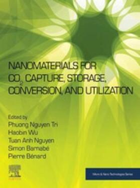 Wu / Barnabe / Benard |  Nanomaterials for CO2 Capture, Storage, Conversion and Utilization | eBook | Sack Fachmedien