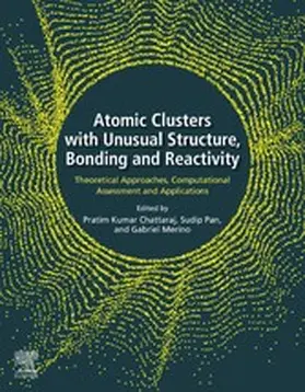 Chattaraj / Pan / Merino |  Atomic Clusters with Unusual Structure, Bonding and Reactivity | eBook | Sack Fachmedien