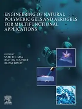 Thomas / Seantier / Joseph | Engineering of Natural Polymeric Gels and Aerogels for Multifunctional  Applications | E-Book | www.sack.de