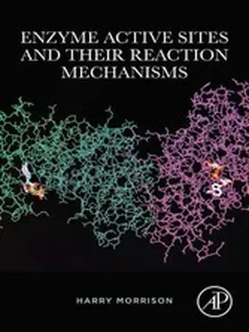 Morrison | Enzyme Active Sites and their Reaction Mechanisms | E-Book | www.sack.de