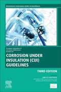 De Landtsheer |  Corrosion Under Insulation (Cui) Guidelines: Technical Guide for Managing Cui | Buch |  Sack Fachmedien