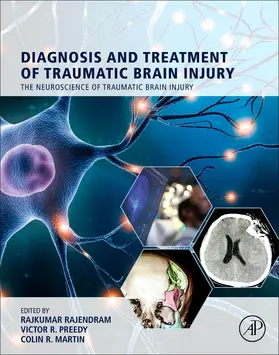 Rajendram / Preedy / Martin |  Diagnosis and Treatment of Traumatic Brain Injury | Buch |  Sack Fachmedien