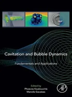 Koukouvinis / Gavaises | Cavitation and Bubble Dynamics | E-Book | sack.de