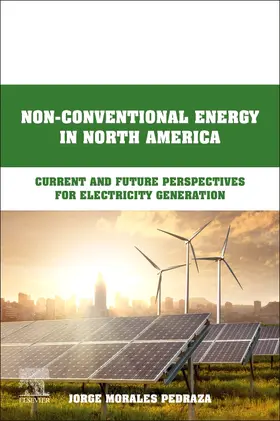 Morales Pedraza | Non-Conventional Energy in North America | Buch | 978-0-12-823440-2 | sack.de