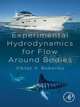 Babenko | Experimental Hydrodynamics for Flow Around Bodies | E-Book | www.sack.de